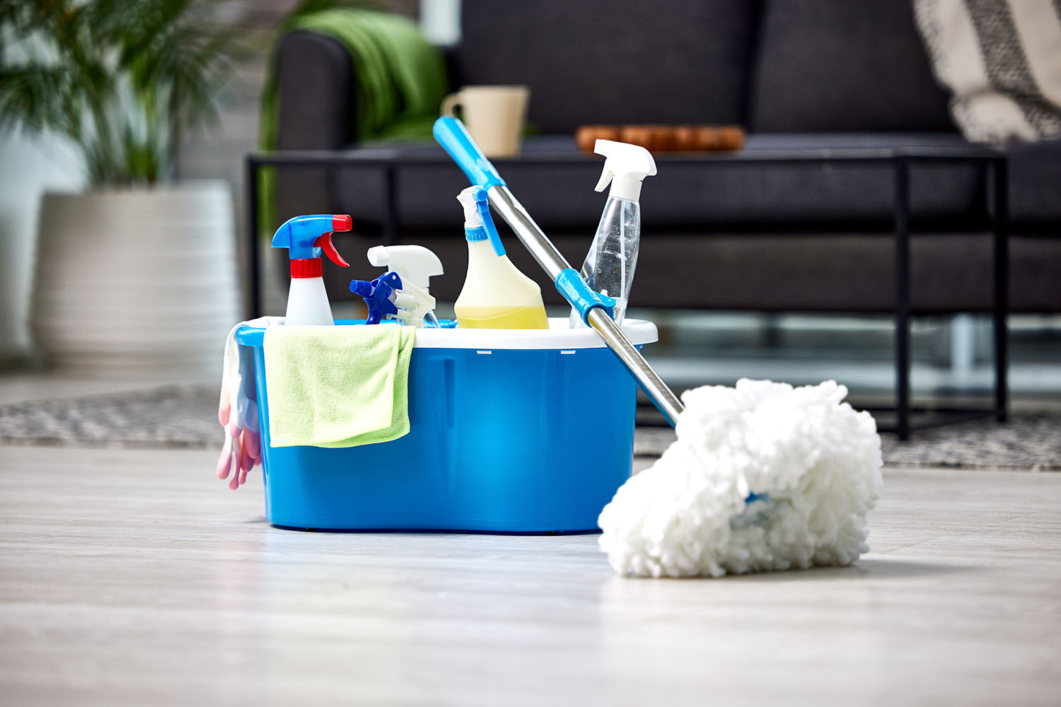 Evertsz_Webimage-1 Evertsz webimage 1